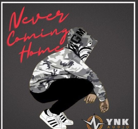 YnK Audio Never Coming Home WAV